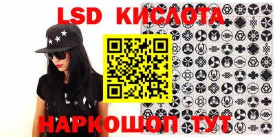 стаф Кандалакша