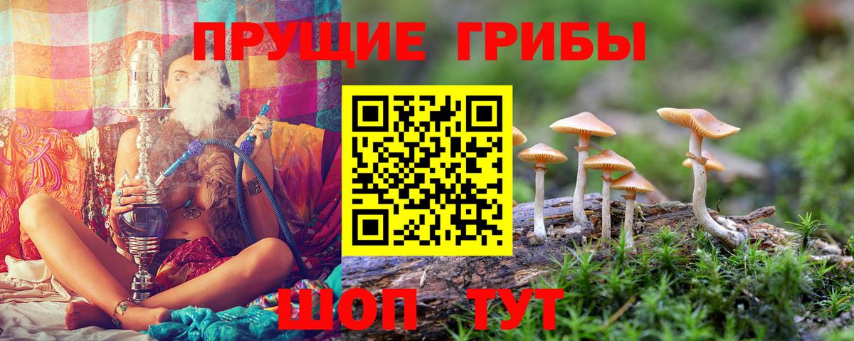 Галлюциногенные грибы GOLDEN TEACHER  Вход с VPN  Дятьково 