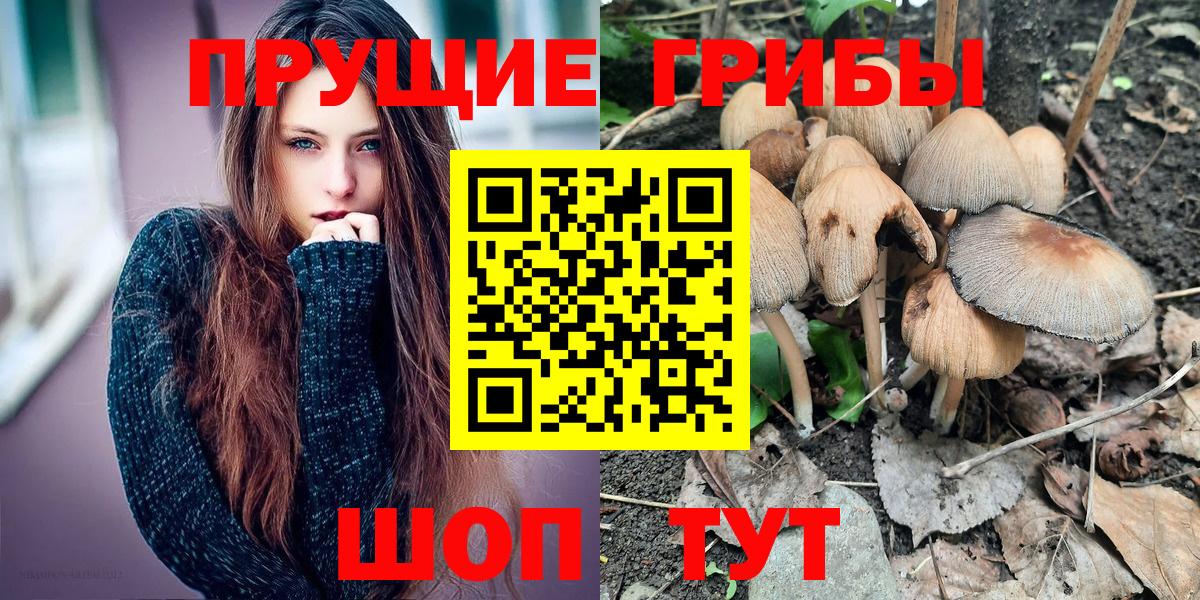 Псилоцибиновые грибы мухоморы Дятьково